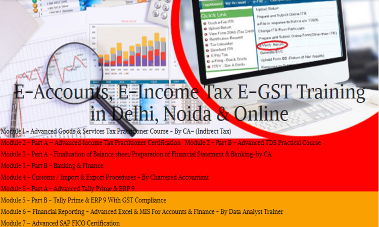 advanced-accounting-course-in-delhi-gst-and-custom-return-filing-course-in-delhi-100-job-guarantee-course-by-sla-consultants-big-0